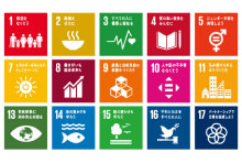 sdgs